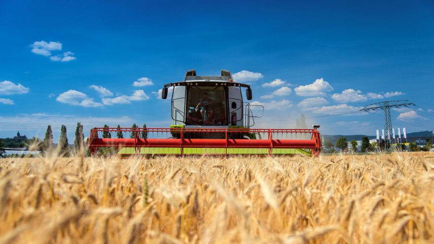 Kolike su otkupne cene pšenice u Mađarskoj?