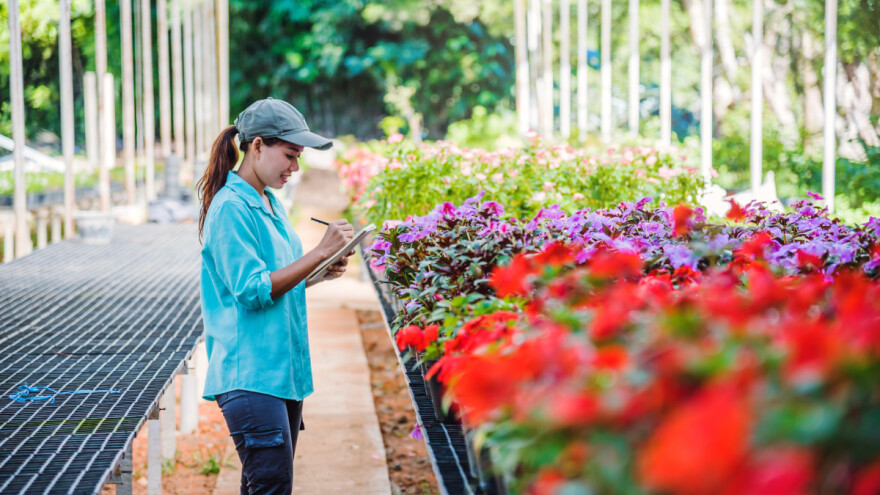 Uskoro škola agrovještina na Pučkom otvorenom učilištu u Osijeku!