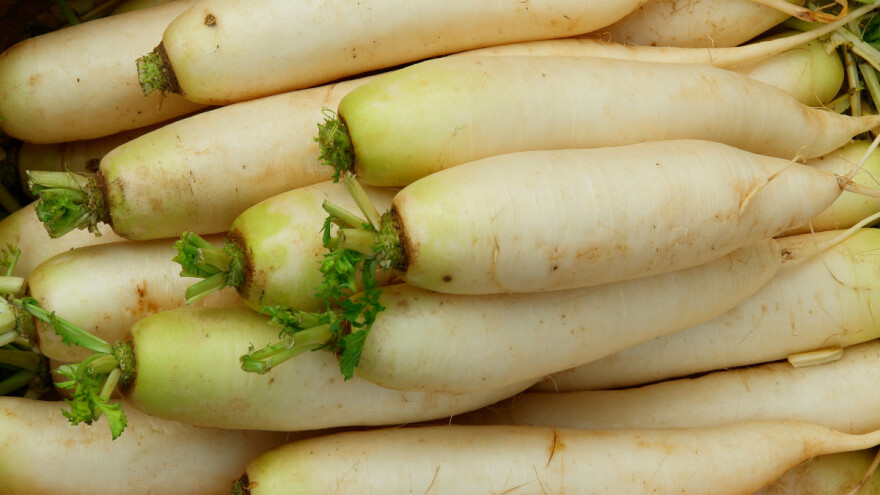 Fermentirani daikon - 7 koraka do zdrave zimnice