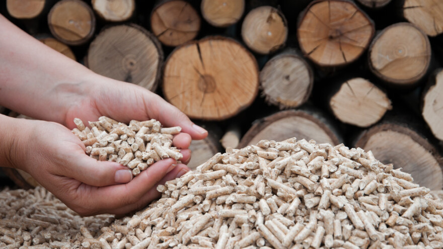 Ograničene cene namirnica, pelet ipak može u izvoz