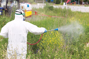 Smanjiti upotrebu pesticida za 80 posto do 2030. - stigao odgovor Komisije
