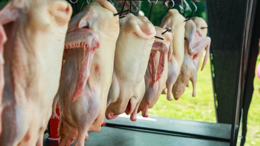 Odobrena prva mobilna klaonica za perad u EU