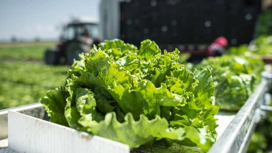 U četiri godine cijene biljnih proizvoda porasle za gotovo 36 posto
