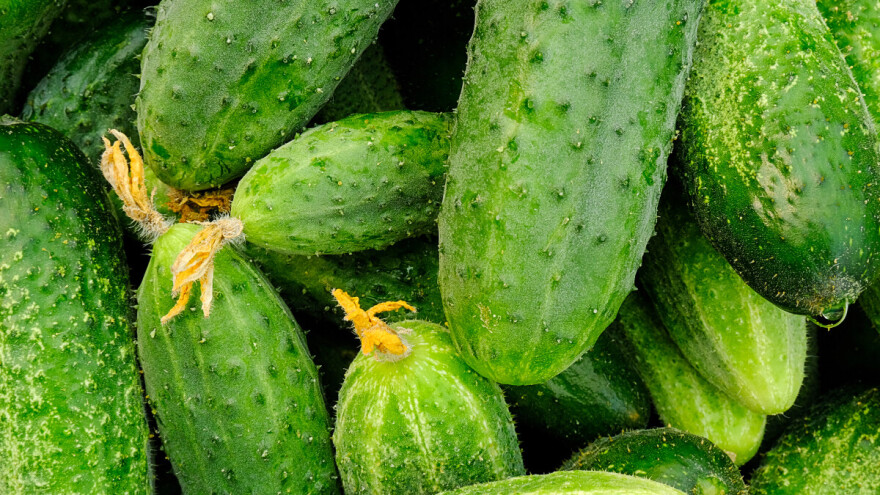 Zna se otkupna cijena za kornišon kojeg su do nedavno proizvodili za Carl Kuehne