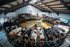 Koji alati i testovi mogu pomoći farmerima da povećaju proizvodnju?