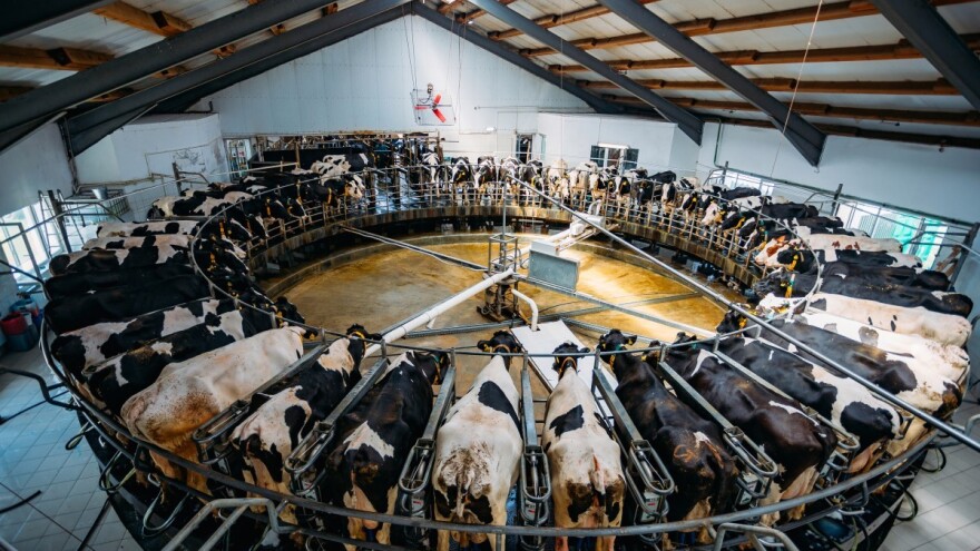 Koji alati i testovi mogu pomoći farmerima da povećaju proizvodnju?