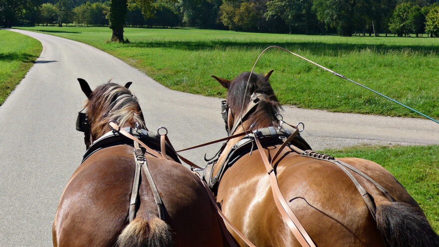 Upravljao konjskom zapregom s 2,38 promila alkohola u krvi