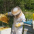 Omotnica za pčelarstvo od 2023. do 2027. veća za gotovo 60 posto