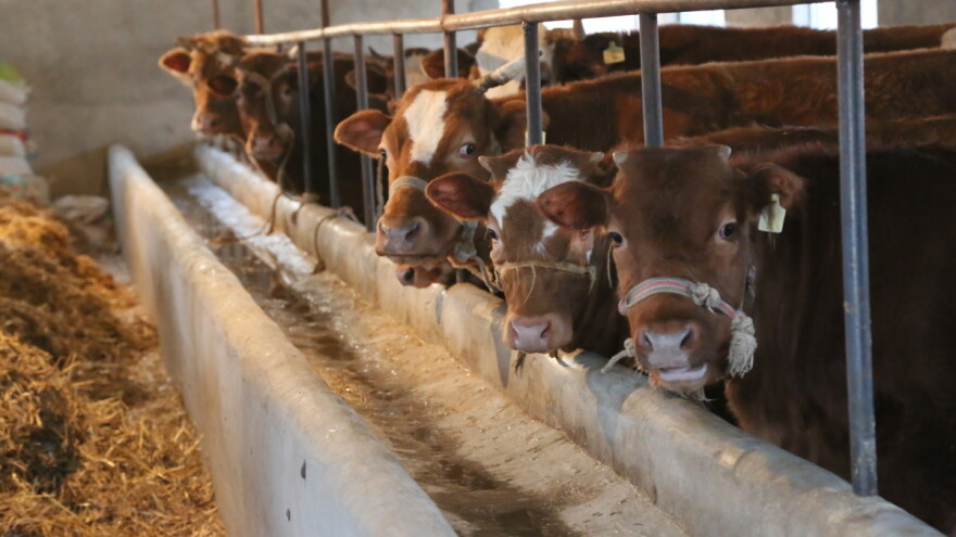 Izmjena Programa potpore za sufinanciranje rada uzgojnih udruženja u području stočarstva