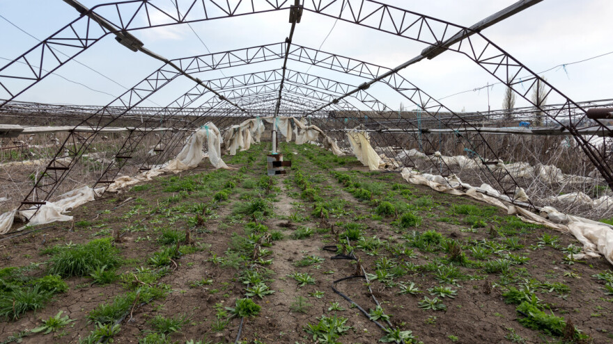 Maline idu stopama smilja: Kako se boriti sa rizicima u poljoprivredi?