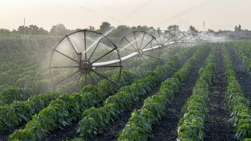 Kreditno zaduženje: 73 milijuna dolara za jačanje otpornosti i konkurentnosti agrara u BiH