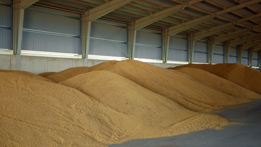 Cene stočnog i pivarskog ječma skoro izjednačene?