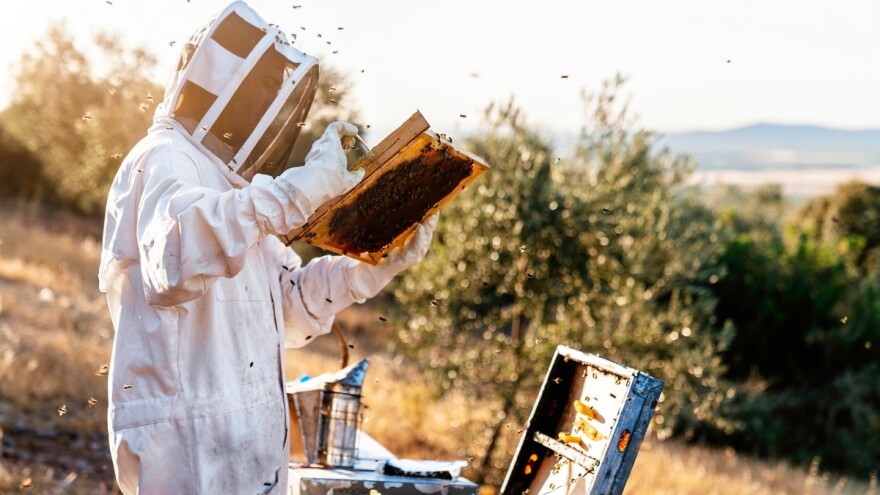 Eminentni predavači stižu na Sedmi kongres o pčelarstvu u Sarajevu