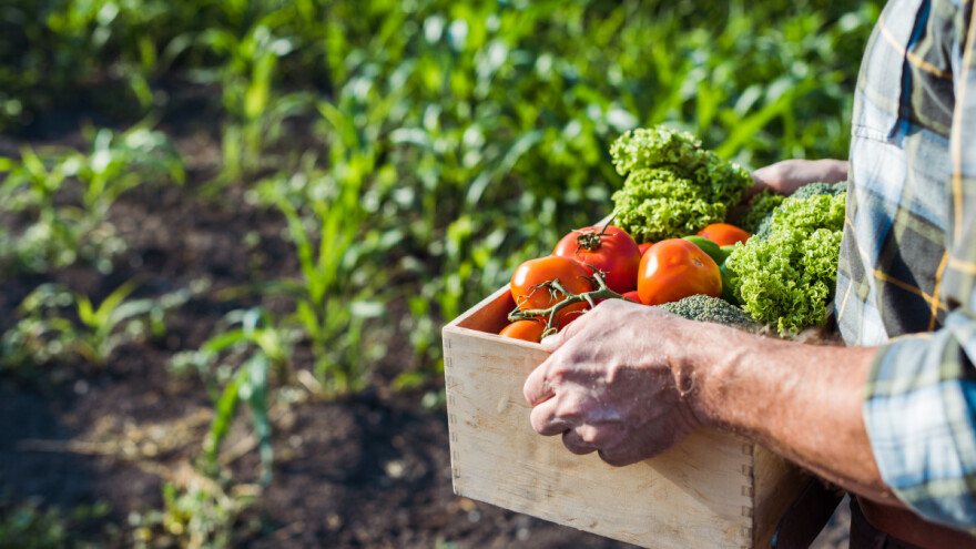 Vojvodina: Konkurs za mašine i opremu u organskoj proizvodnju