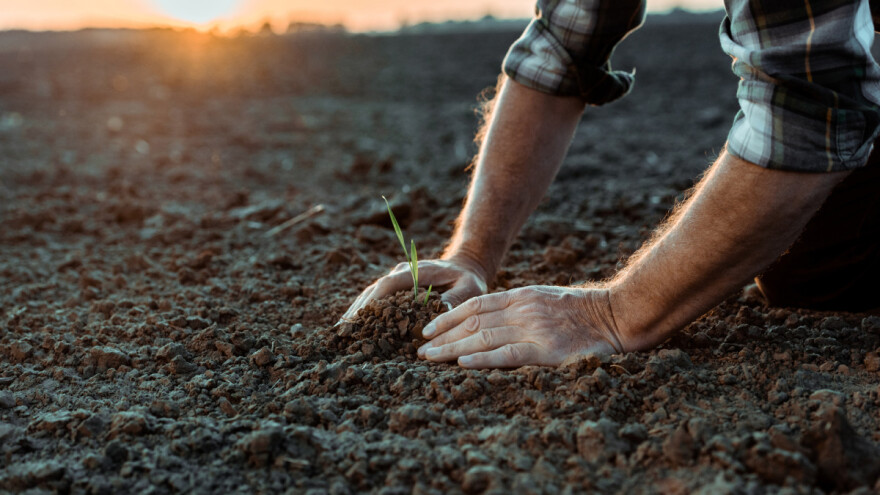 Nezgodna godina za ratare, naredni period - neizvestan
