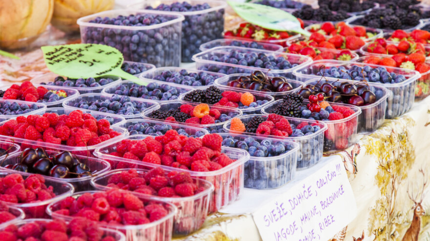 Nacionalna strategija za programe proizvođačkih organizacija u sektoru voća i povrća