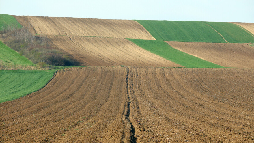 Neplaćeni dugovi "teraju" i oranice u Vojvodini na doboš
