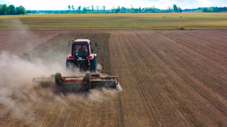 Lažna sjetva umjesto herbicida: kada i kako se obavlja?