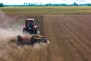 Lažna sjetva umjesto herbicida: kada i kako se obavlja?