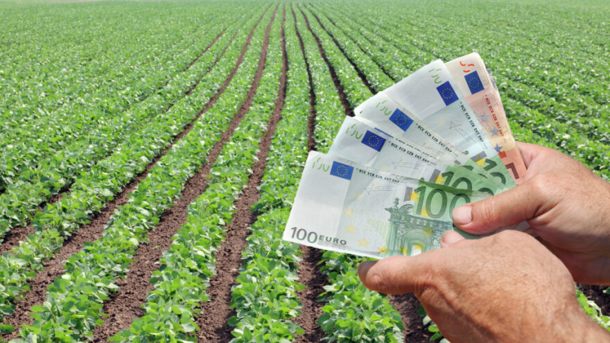 Predstavila se kao posrednik u kupovini njive - 12.000 evra zadržala za sebe