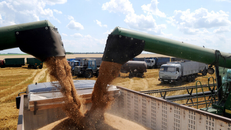 Povijesni maksimum: Ruska izvozna carina na pšenicu premašila 100 dolara po toni