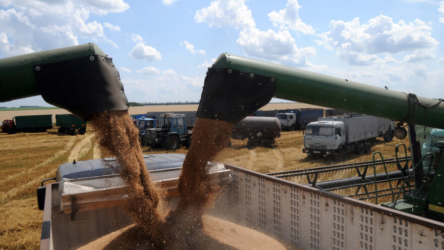 Žitarice globalno: Trgovina pada, kako izgleda prognoza proizvodnje pšenice?