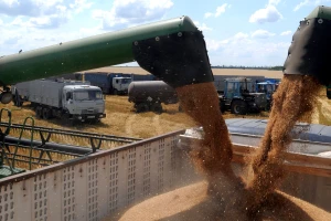 Poljska i Moldavija se boje ukrajinskih žitarica - što traže?