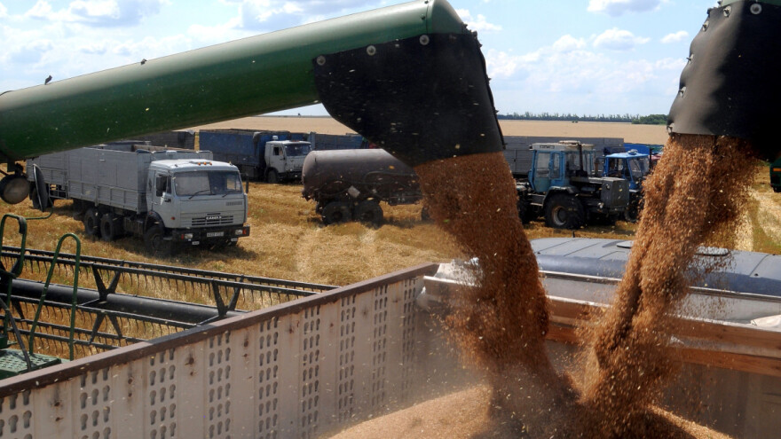 Poljska i Moldavija se boje ukrajinskih žitarica - što traže?