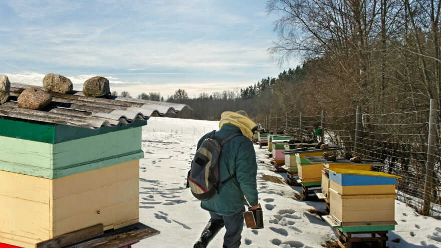 Preporuke za radove u košnici zimskom periodu