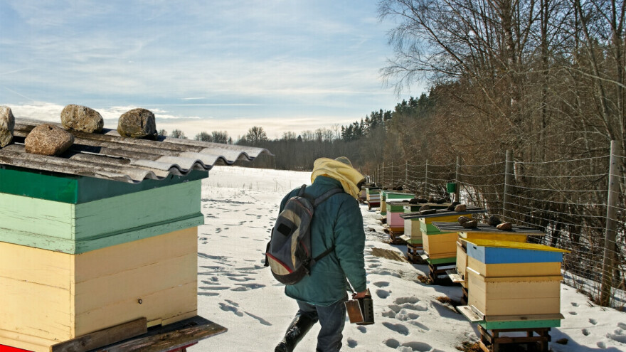 Preporuke za radove u košnici u zimskom periodu