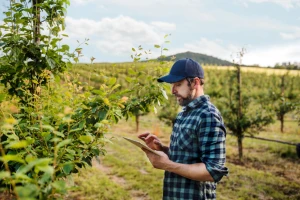 Da li osigurati voćnjake i vinograde i po čemu se Slovenci ralikuju od nas?
