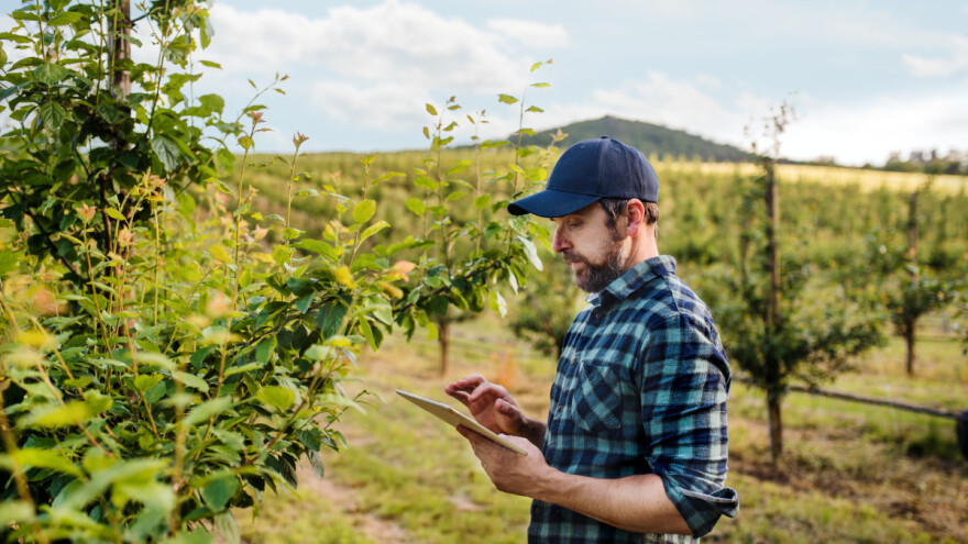 Da li osigurati voćnjake i vinograde i po čemu se Slovenci ralikuju od nas?