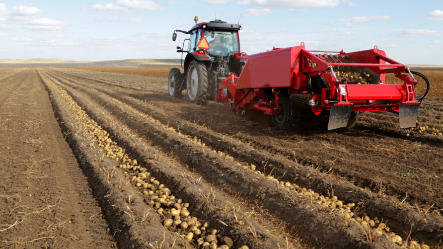 U Međimurju nam je trećina uzgoja krumpira, ali najveći proizvođač je na drugom kraju zemlje