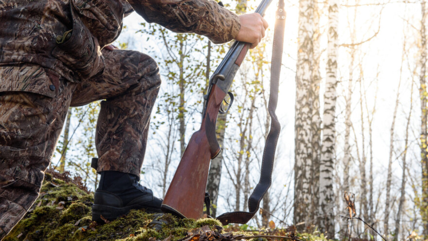 Hrvatska ima 64 tisuće lovaca - rastao odstrel divljači
