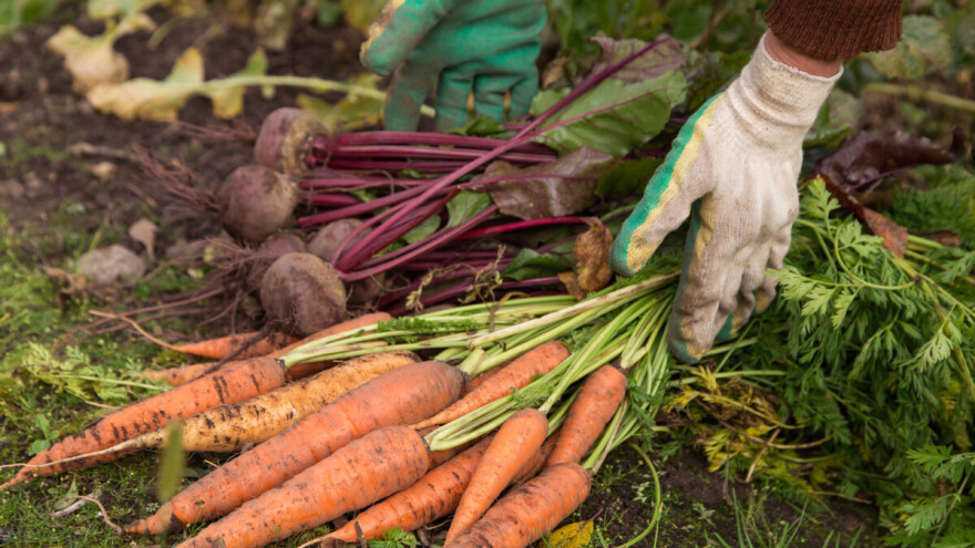 Gotovo tisuću proizvođača u Austriji odustaje od ekološke proizvodnje