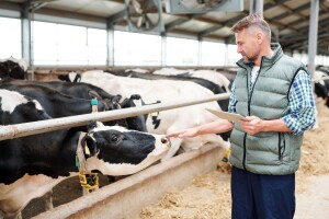 Farmeri pojasnili: Za 1 KM poticaja, uplatimo 3,5 KM u budžet