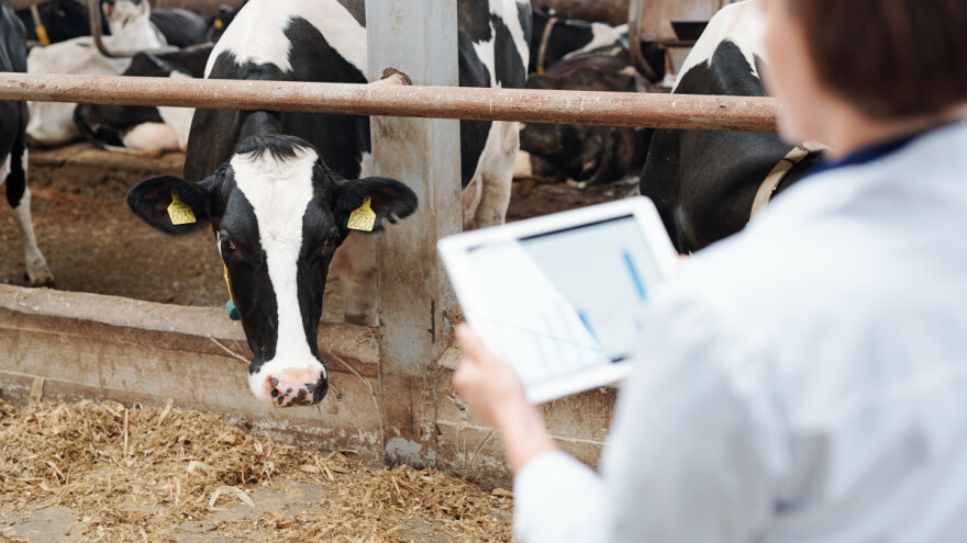 Objavljen je Indikativni plan objave natječaja za 2024.