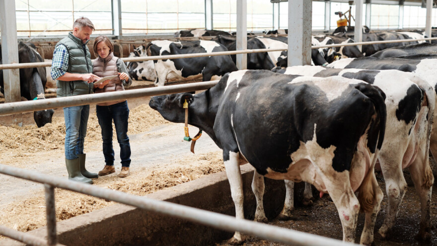 Uloga mladih bh. agronoma: Kako do prvog zaposlenja?