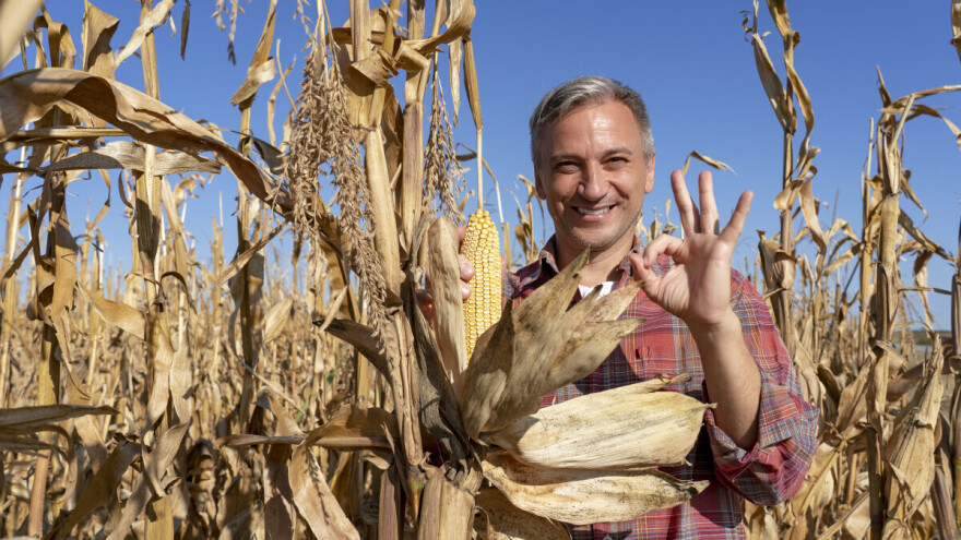 Besplatno oglasi svoje proizvode. Uz kupce osvoji i majicu ;)