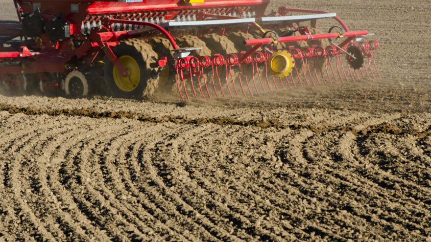 Koji rizik donosi suviše rana, a koji prekasna sjetva ozimih žitarica?