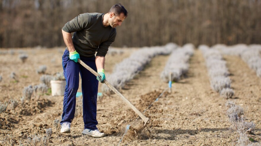 Ministarstvo poljoprivrede: Motika nije zabranjena, ali ne donosi potpore