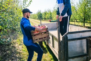 Objavljena rang lista Prvog poziva Projekta za konkurentu poljoprivredu