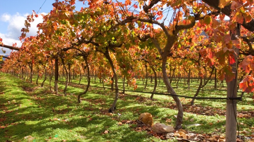 Promenljivo oblačno i znatno toplije vreme uz jak vetar