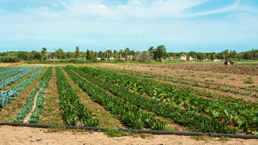U 7 godina eko površine u EU porasle za 46 posto: Gdje je Hrvatska?