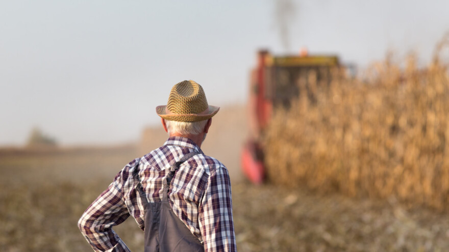 Plaćaju poljoprivrednicima da prestanu s proizvodnjom - UK uvodi novi program