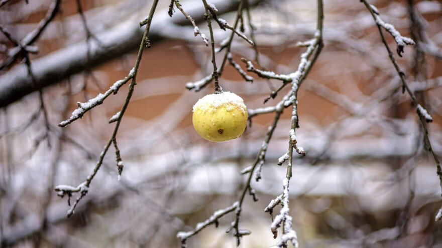 Pripremite se za snijeg - stiže već za vikend?