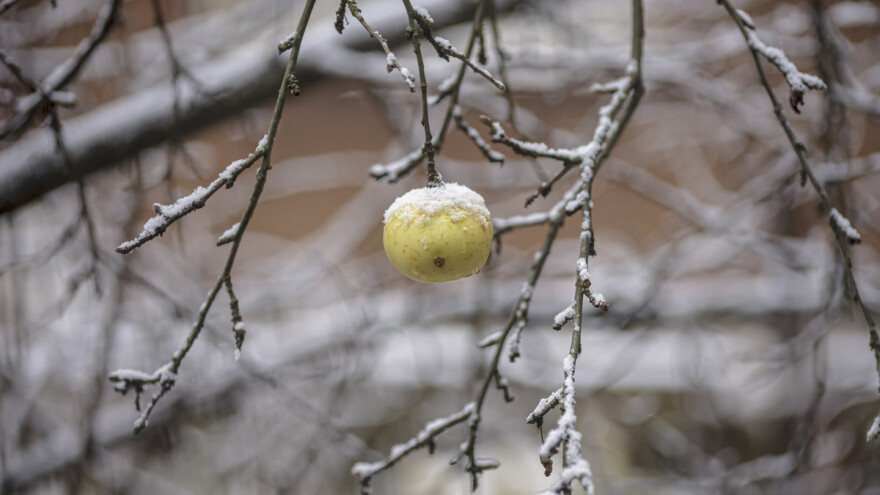 Nakon mljekara i voćari digli glas: Šta nama donosi strategija?