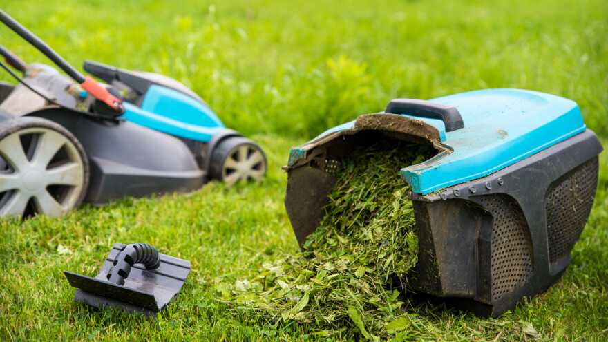 Pokosili ste i ne znate što s travom - kako je iskoristiti?