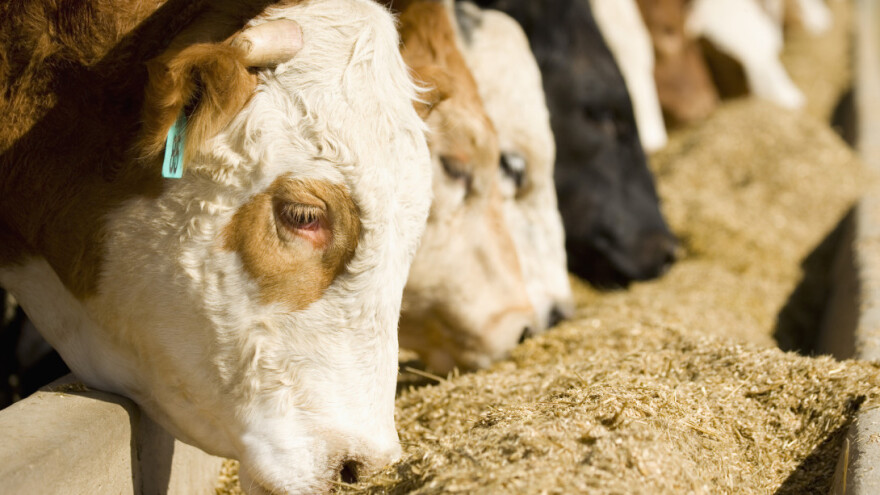 Rekordna izdvajanja za poticaje u USK: Poljoprivrednicima sedam miliona KM