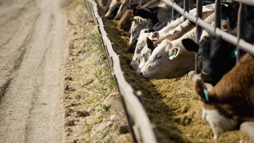 Prijavite se za regionalnu konferenciju o hrani za životinje jugoistočne Europe